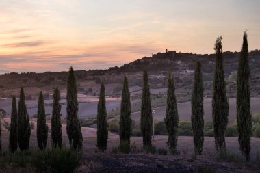 Casale Marittimo, Tuscany, İtalya, görüntülemek selvi Eylül üzerinden