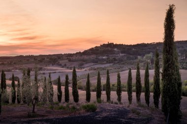 Casale Marittimo, Tuscany, İtalya, görüntülemek selvi Eylül üzerinden