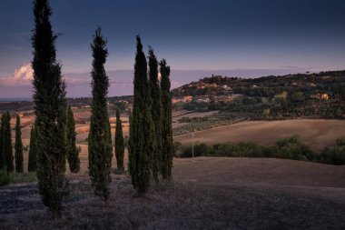 Casale Marittimo, Tuscany, İtalya, görüntülemek selvi Eylül üzerinden