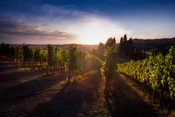 Casale Marittimo, Toscane, Italië, uitzicht vanaf de wijngaard op sept — Stockfoto