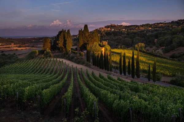 Casale Marittimo, Tuscany, İtalya, görüntülemek üzüm Eylül tarihinde