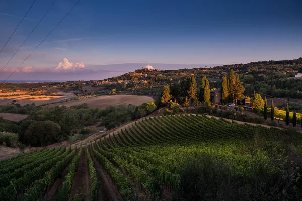 Casale Marittimo, Tuscany, İtalya, görüntülemek üzüm Eylül tarihinde