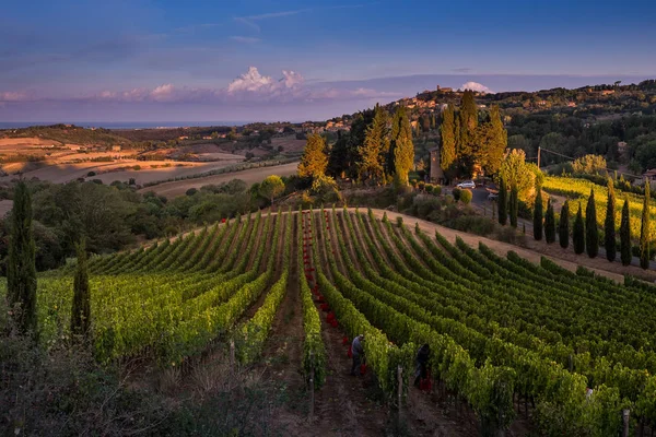 Casale Marittimo, Tuscany, Italy, view from the vineyard on sept — Stock Photo, Image