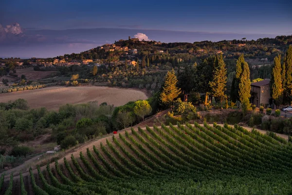 Casale Marittimo, Toscana, Italia, vista desde el viñedo en septiembre — Foto de Stock