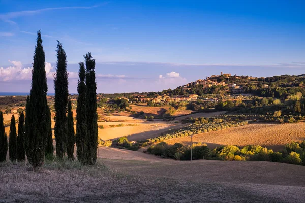 Casale Marittimo, Tuscany, İtalya, görüntülemek selvi Eylül üzerinden