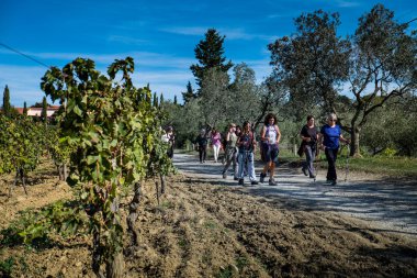 Montescudaio, Pisa, İtalya - 19 Ekim 2017 - yürüyüşçüler yürüyüş boyunca