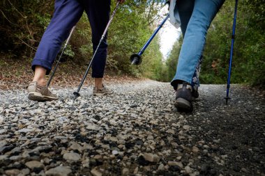 Riparbella, Livorno, İtalya - 05 Ekim 2017 - yürüyüşçüler alon yürümek