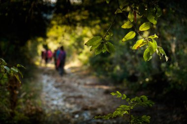 Volterra, Pisa, İtalya - 1 Kasım 2017: Yürüyüşçüler Sal yola