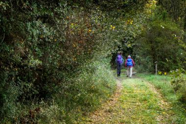 Montecatini Val di Cecina, Pisa, İtalya - 7 Kasım 2017: Bu bir güzergah Monterufoli doğa rezerv, anıtsal büyük iş taş köprüler 