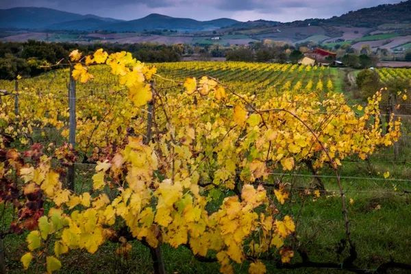 Casaglia, Pisa, Italië - 09 november, 2017: Trekking route in Cas — Stockfoto