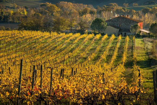 Casaglia, Pisa, Italië - 16 november, 2017: Trekking route in Cas — Stockfoto