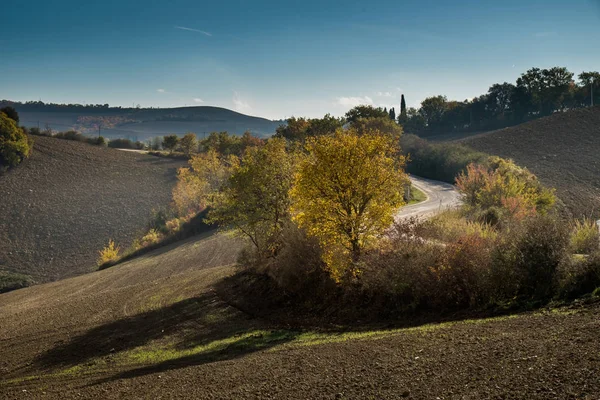 Wandeltochten in de provincie van Siena, van Buonconvento aan herfst — Stockfoto