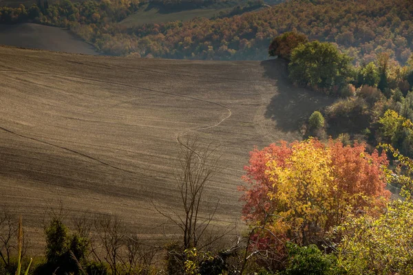 Jesienny, trekking w prowincji Siena, z Buonconvento do — Zdjęcie stockowe