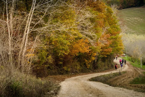 Autumnal trekking in the province of Siena, from Buonconvento to — Stock Photo, Image