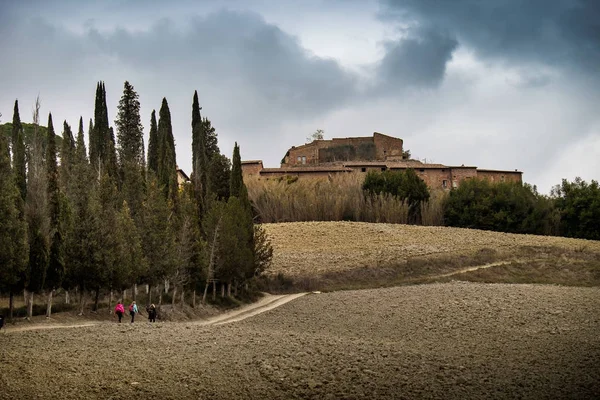 Sonbahar Buonconvento için gelen Siena eyaletinin trekking — Stok fotoğraf