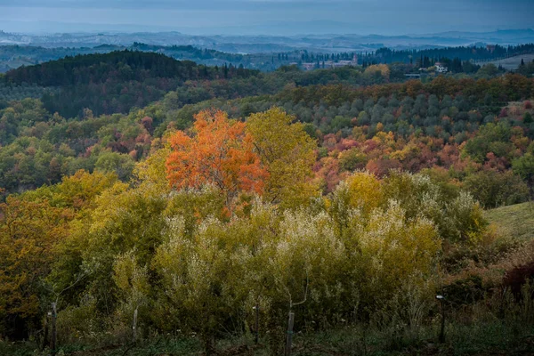 Buonconvento, Sienne, Toscane - 12 novembre 2017 : Trekking automnal dans la province de Sienne, de Buonconvento à l'abbaye de Monte Oliveto Maggiore — Photo