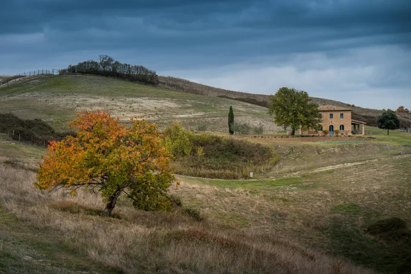 Buonconvento, Siena, Tuscany - Novembre 12, 2017: Autumnal  trekking in the province of Siena, from Buonconvento to Monte Oliveto Maggiore Abbey — Stock Photo, Image
