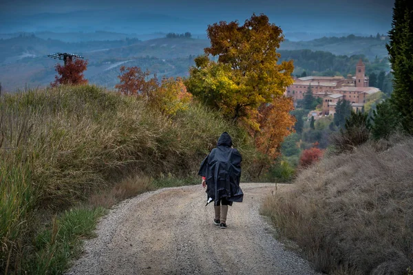 Höstlig vandring i provinsen Siena, från Buonconvento till Monte Oliveto Maggiore Abbey — Stockfoto