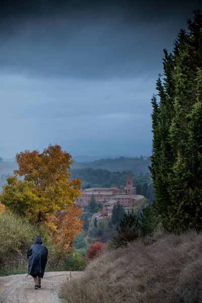 Höstlig vandring i provinsen Siena, från Buonconvento till Monte Oliveto Maggiore Abbey — Stockfoto