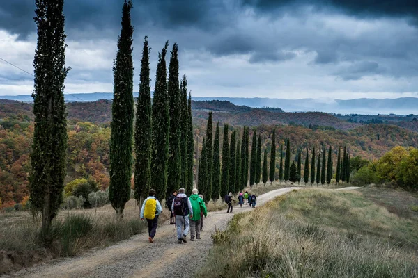 Höstlig vandring i provinsen Siena, från Buonconvento till Monte Oliveto Maggiore Abbey — Stockfoto