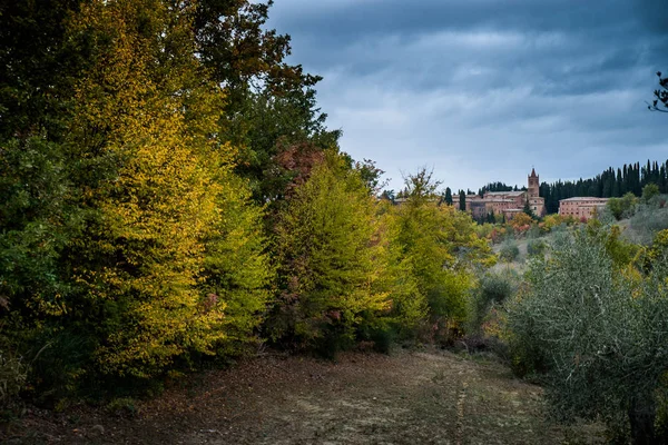 Autumnal trekking in the province of Siena, from Buonconvento to Monte Oliveto Maggiore Abbey — Stock Photo, Image