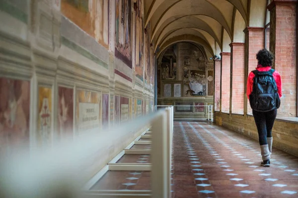 Senderismo otoñal en la provincia de Siena, de Buonconvento a Monte Oliveto Abadía Mayor —  Fotos de Stock