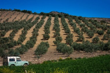 Setenil de las Bodegas, Cadiz province, Andalucia, Spain