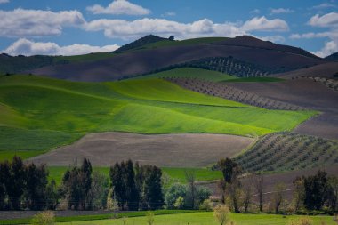 Setenil de las Bodegas, Cadiz province, Andalucia, Spain