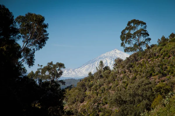 Тенерифе, Канарские острова, Испания - Parque Nacional del Teide — стоковое фото