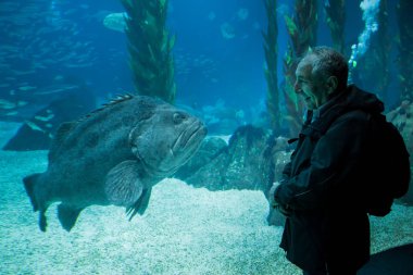 Lisbon, Portekiz - 31 Ocak 2011: (Lisbon Oceanarium) Milletler Park çevresindeki
