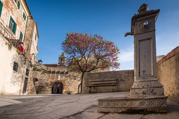 Rosignano Marittimo, Tuscany, Livorno — 스톡 사진