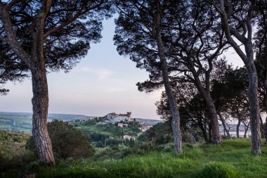 Rosignano Marittimo, Toskana, Livorno - panoramik görünüm 