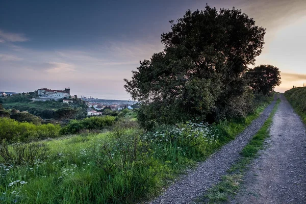 Rosignano Marittimo, Toscana, Livorno - vista panorâmica do — Fotografia de Stock