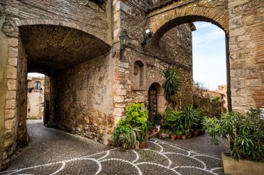 Bibbona Val di Cecina, Livorno, Toskana, İtalya için