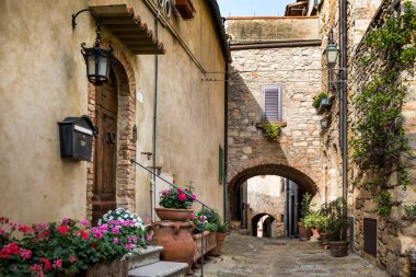 Bibbona Val di Cecina, Livorno, Toskana, İtalya için