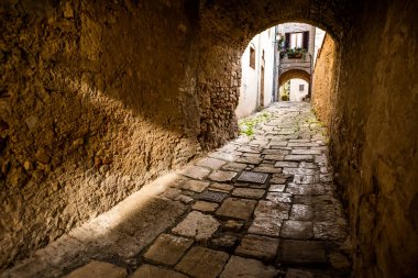 Bibbona Val di Cecina, Livorno, Toskana, İtalya için