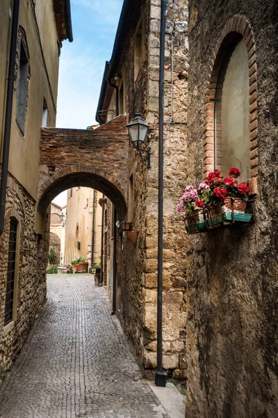 Bibbona im val di cecina, livorno, toskana, italien — Stockfoto