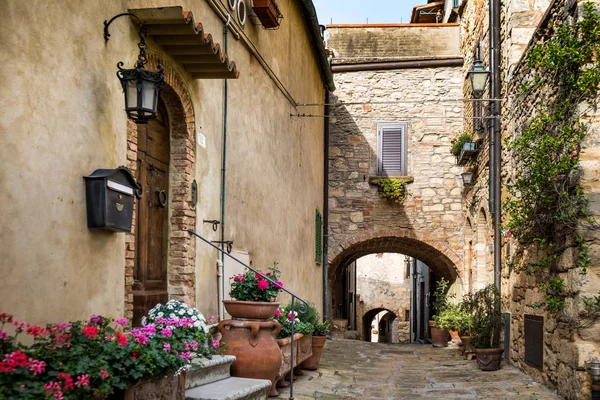 Bibbona im val di cecina, livorno, toskana, italien — Stockfoto