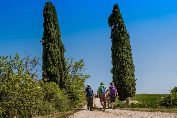 ASCIANO, TUSCÂNIA, Itália - trekking, Pessoas desconhecidas caminhando — Fotografia de Stock