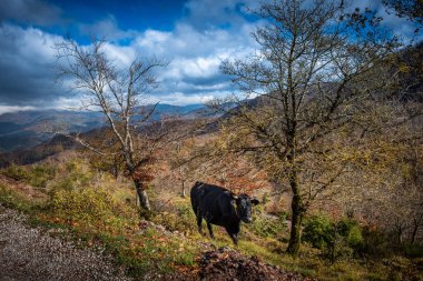 Pontito 'dan Penna di Lucchio' ya, Lucca - Toskana