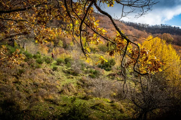 Trekking de Pontito à Penna di Lucchio, Lucques - Toscane — Photo