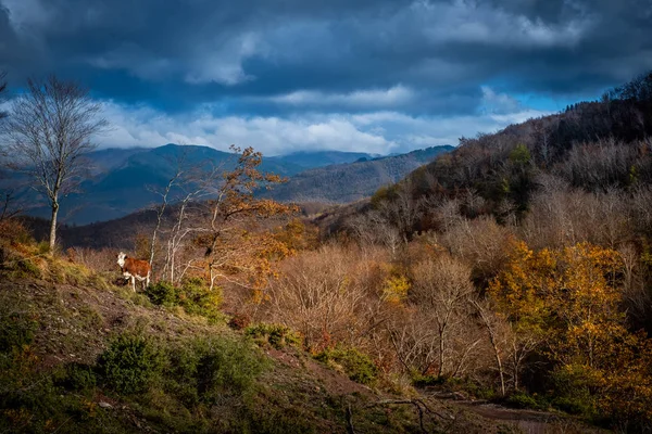 Trekking da Pontito a Penna di Lucchio, Lucca - Toscana — Foto Stock