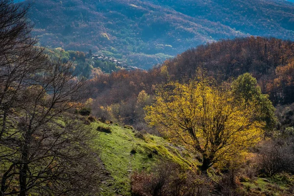 Trekking de Pontito à Penna di Lucchio, Lucques - Toscane — Photo