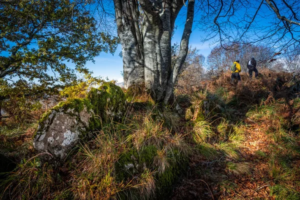 Trekking from Pontito to Penna di Lucchio, Lucca - Tuscany — Stock Photo, Image