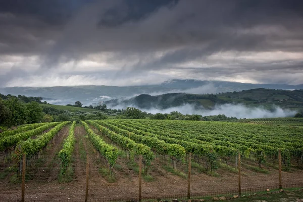 Montalcino, Siena - Toszkána, Olaszország — Stock Fotó