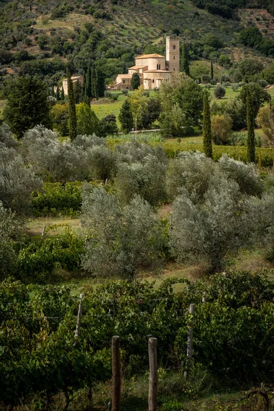 Montalcino, Siena - Toscana, Italia —  Fotos de Stock