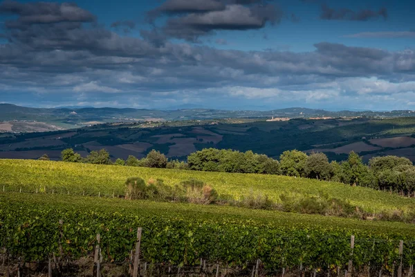 Montalcino, Siena - Toscana, Italia — Foto de Stock