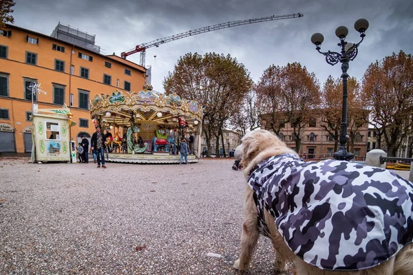 Lucca, Toscana - Italia — Fotografie, imagine de stoc