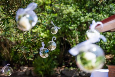 Şeffaf plastik toplar