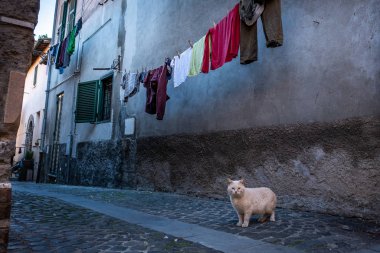Montalto di Castro, Viterbo Latium, İtalya